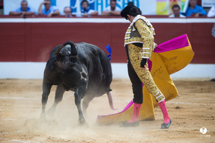 Mont-de-Marsan corrida de Jandilla pour Padilla - Talavante - Roca Rey