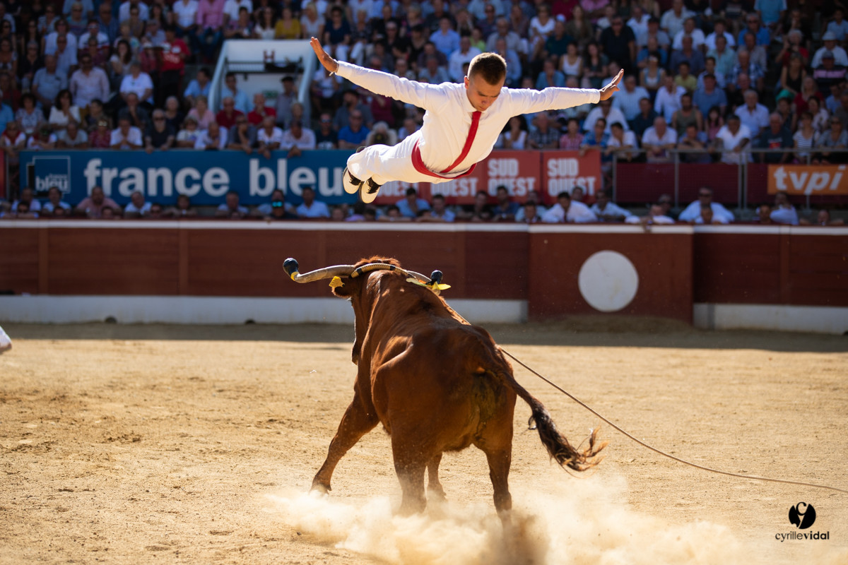 Mont-de-Marsan championnat de France de course landaise 2019