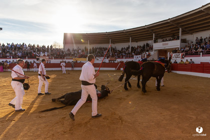 Corrida Aignan