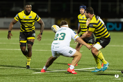 Stade Montois Rugby - Montauban