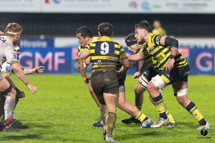Stade Montois Rugby - Carcassonne