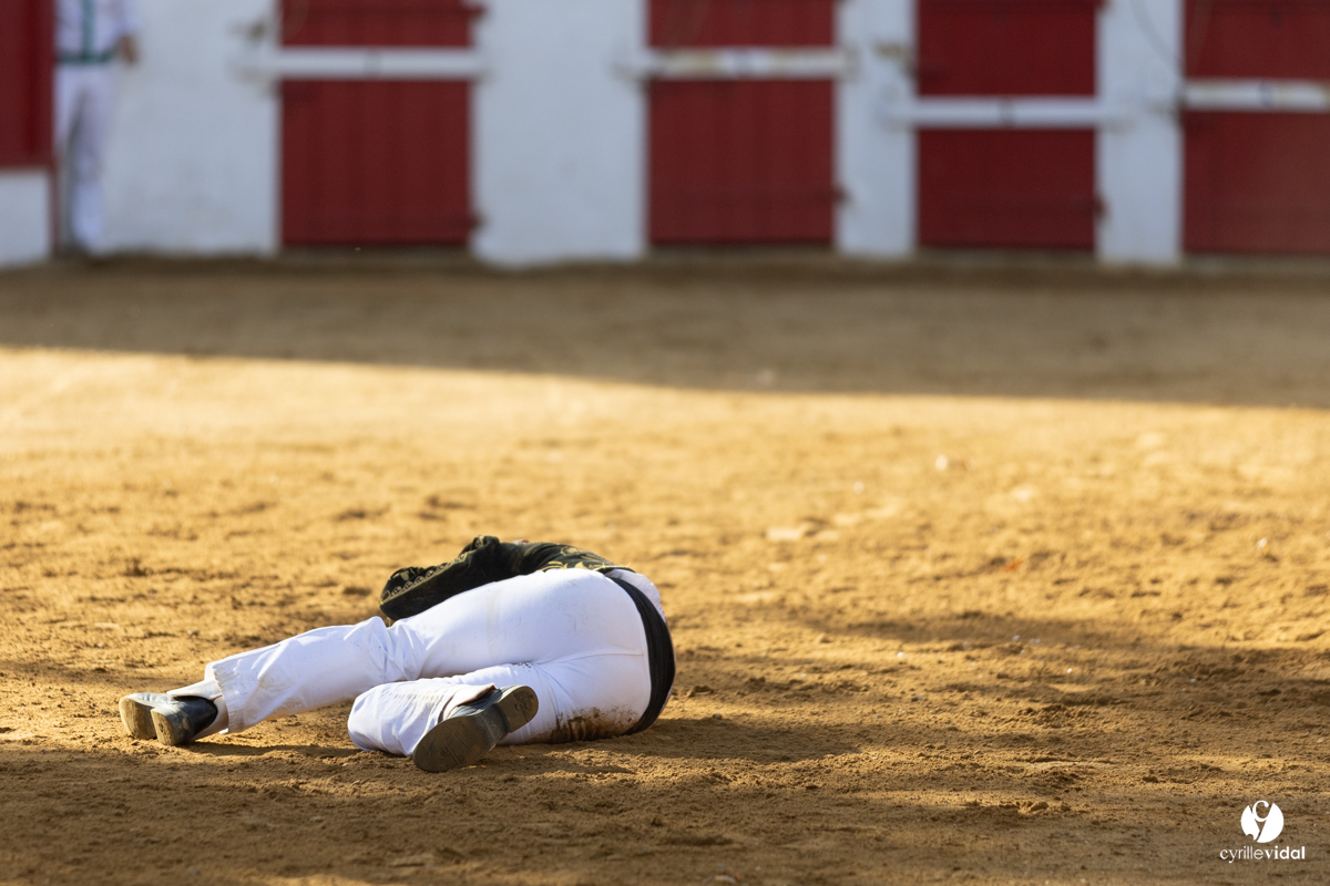 Nogaro Championnat de France de course landaise 2022
