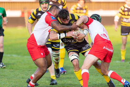 Stade Montois Rugby - Biarritz