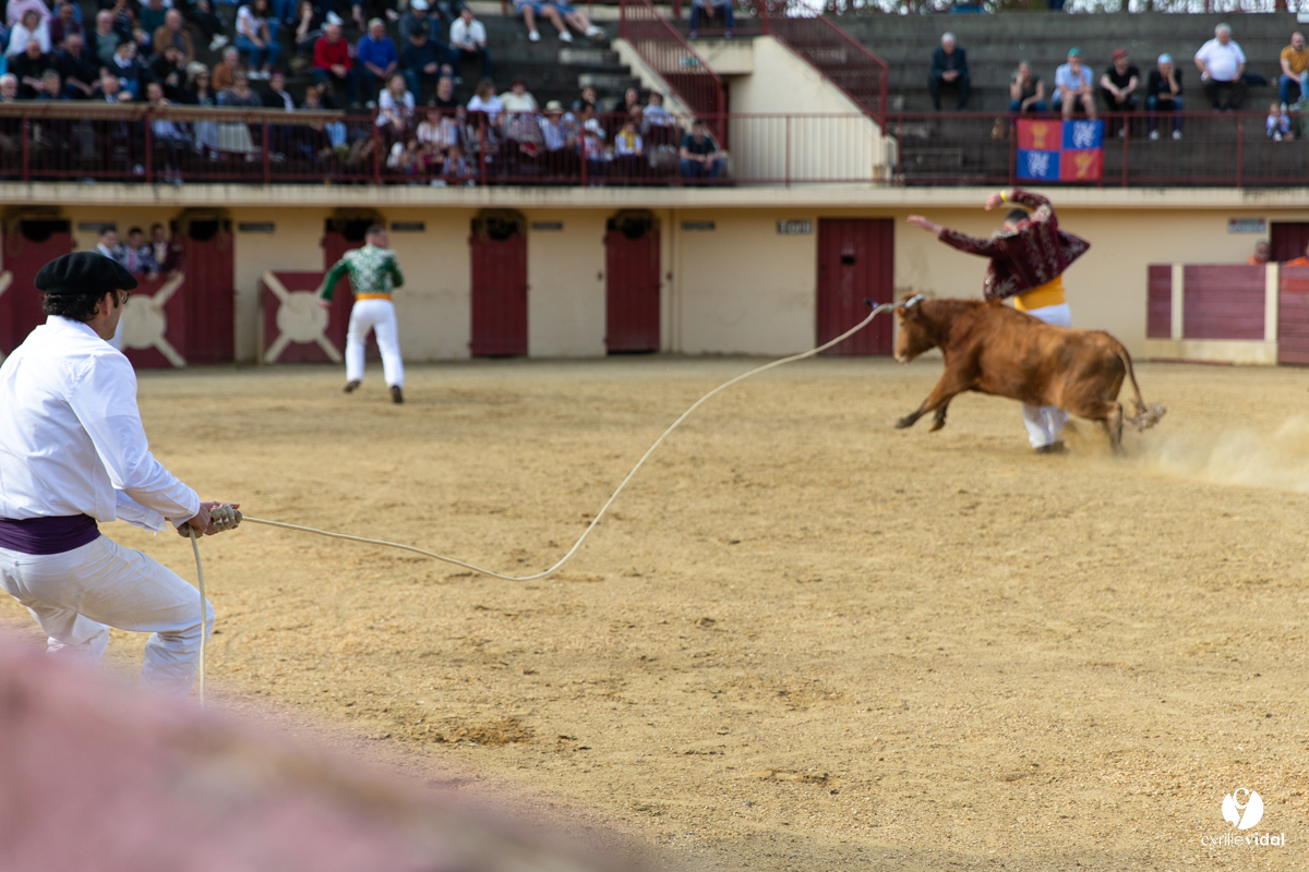 Course landaise Le Houga Ganadéria Dussau Cuadrilla Alexandre Brethes