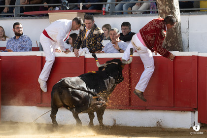 Nogaro Championnat de France de course landaise 2022