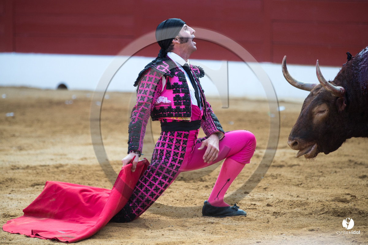 Mont-de-Marsan corrida de Jandilla pour Padilla - Talavante - Roca Rey