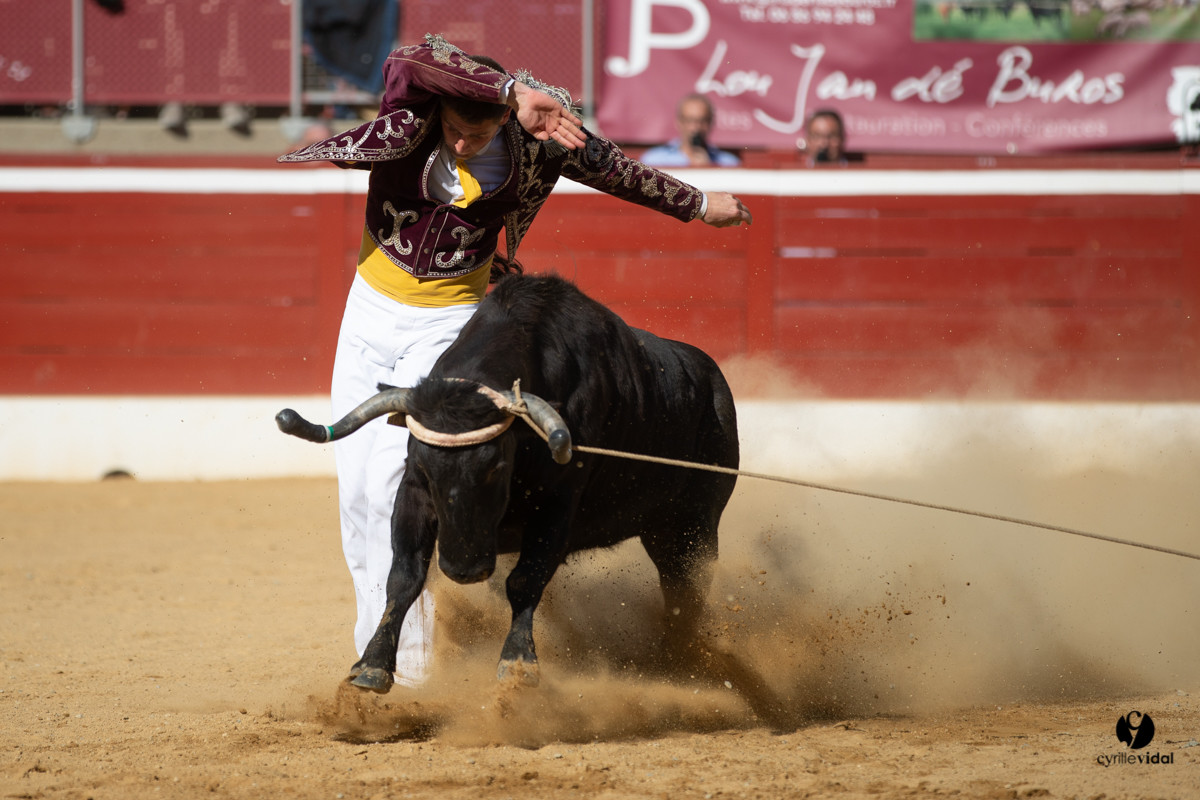 Mont-de-Marsan championnat de France de course landaise 2019
