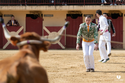 Course landaise Le Houga Ganadéria Dussau Cuadrilla Alexandre Brethes