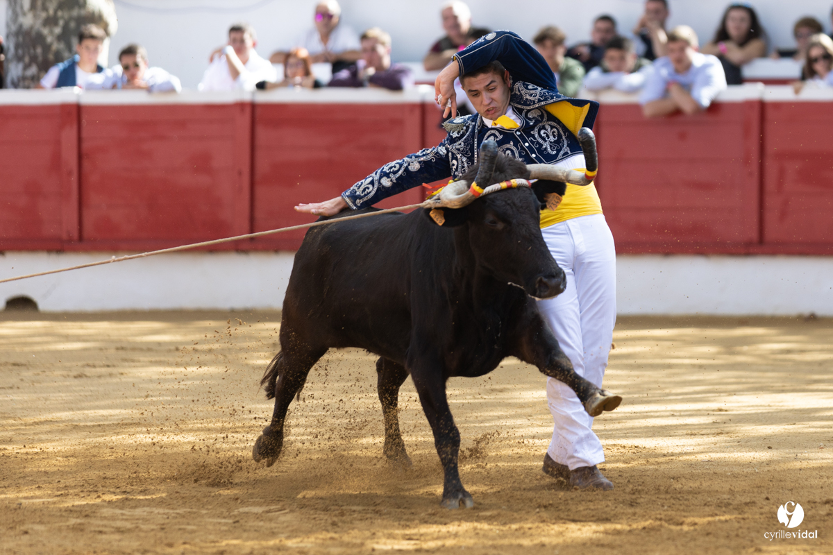 Nogaro Championnat de France de course landaise 2022