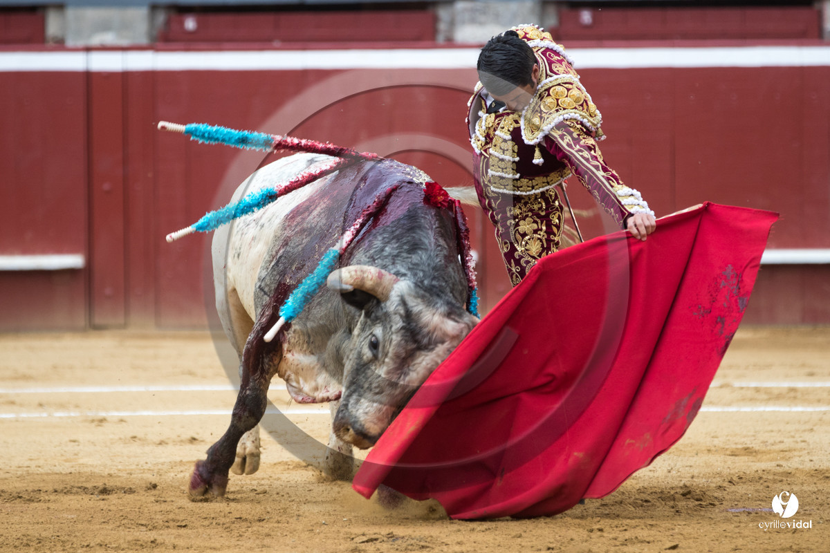 Mont-de-Marsan corrida de la Quinta pour Juan Bautista - Emilio de Justo - Thomas DUFAU