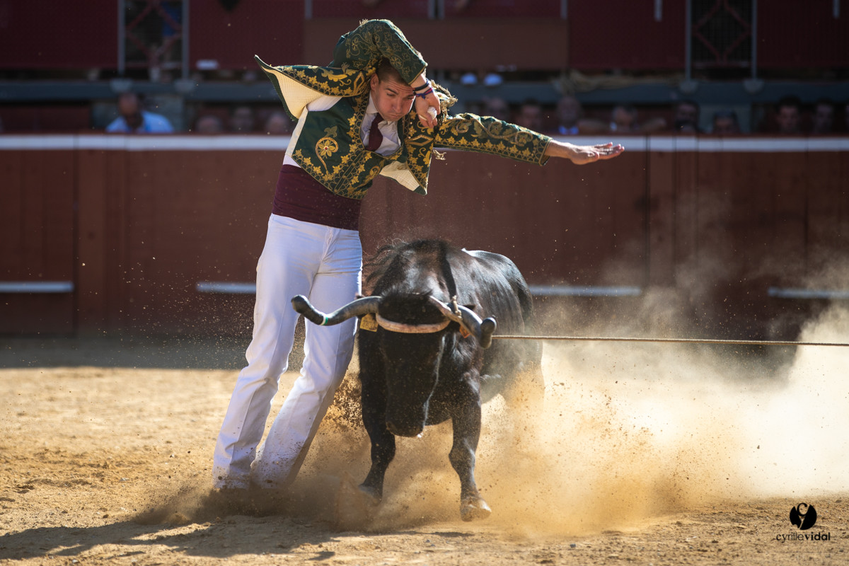 Mont-de-Marsan championnat de France de course landaise 2019