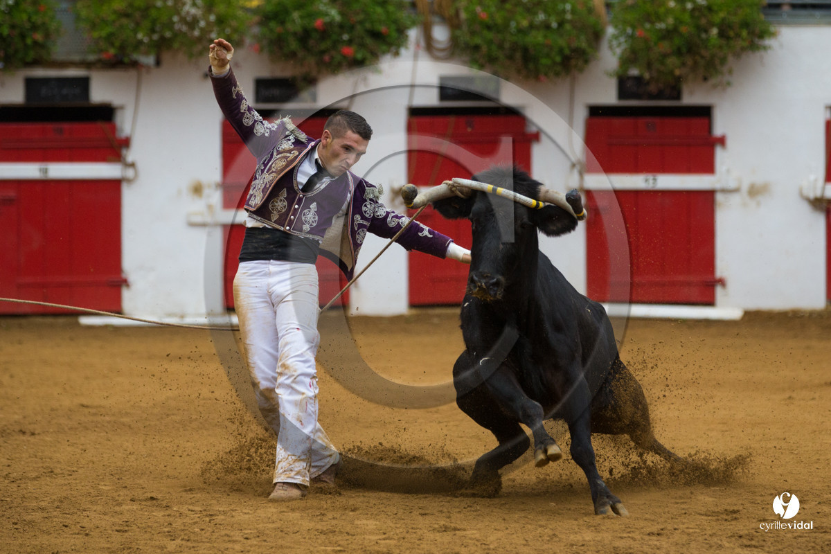 Nogaro Championnatde France de Course Landaise 2017