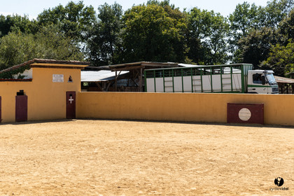 Course landaise à Panjas