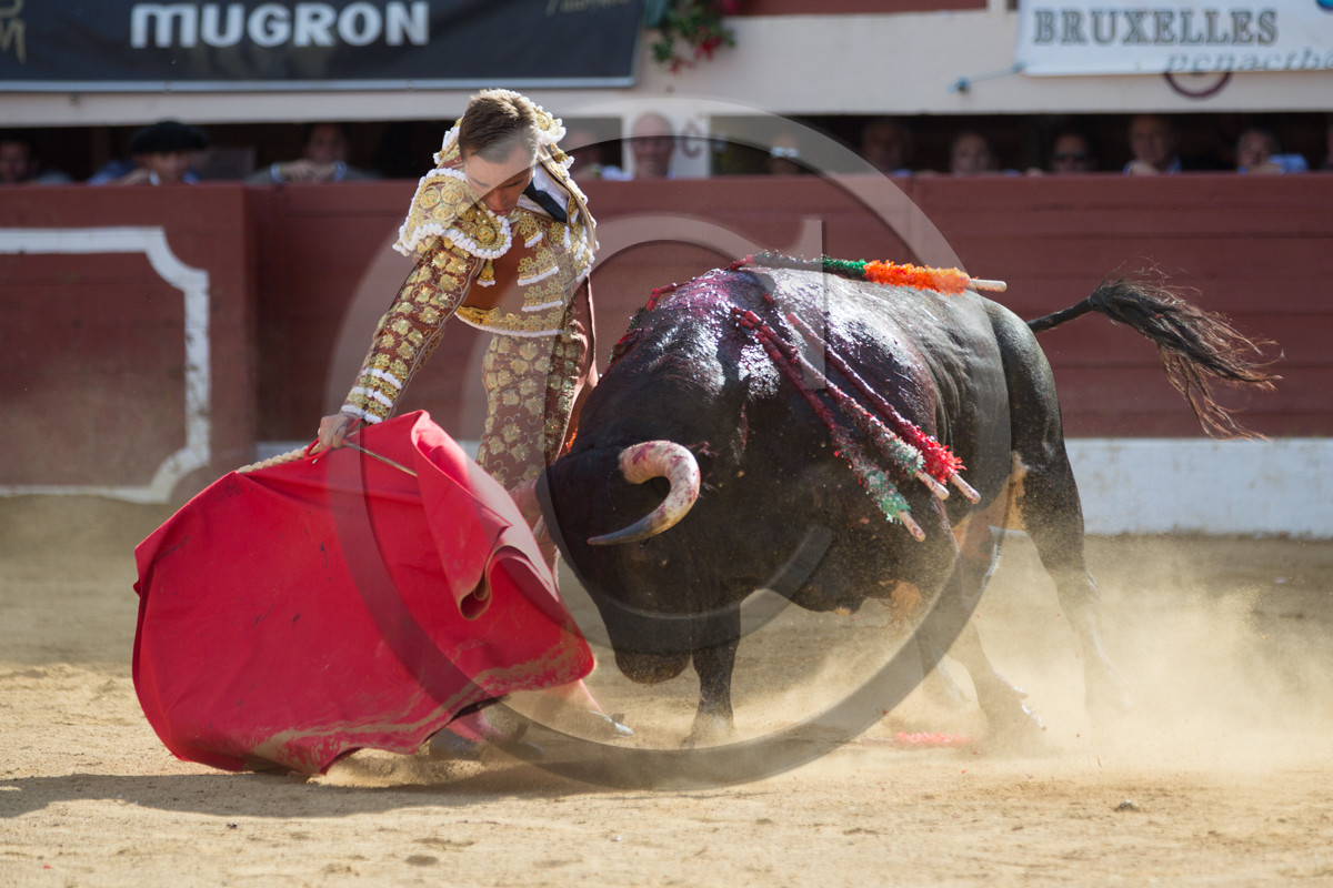 corrida, toro, vic fezensac, alcurrucen, michelito, morenito de aranda
