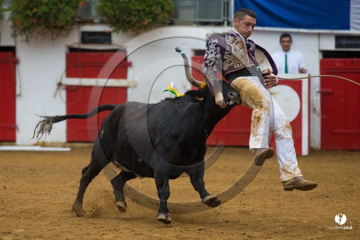 Nogaro Championnatde France de Course Landaise 2017