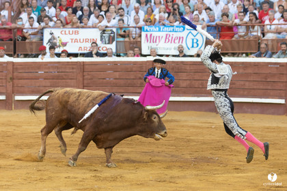 Corrida de Villeneuve-de-Marsan