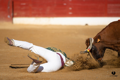 Mont-de-Marsan championnat de France de course landaise 2019