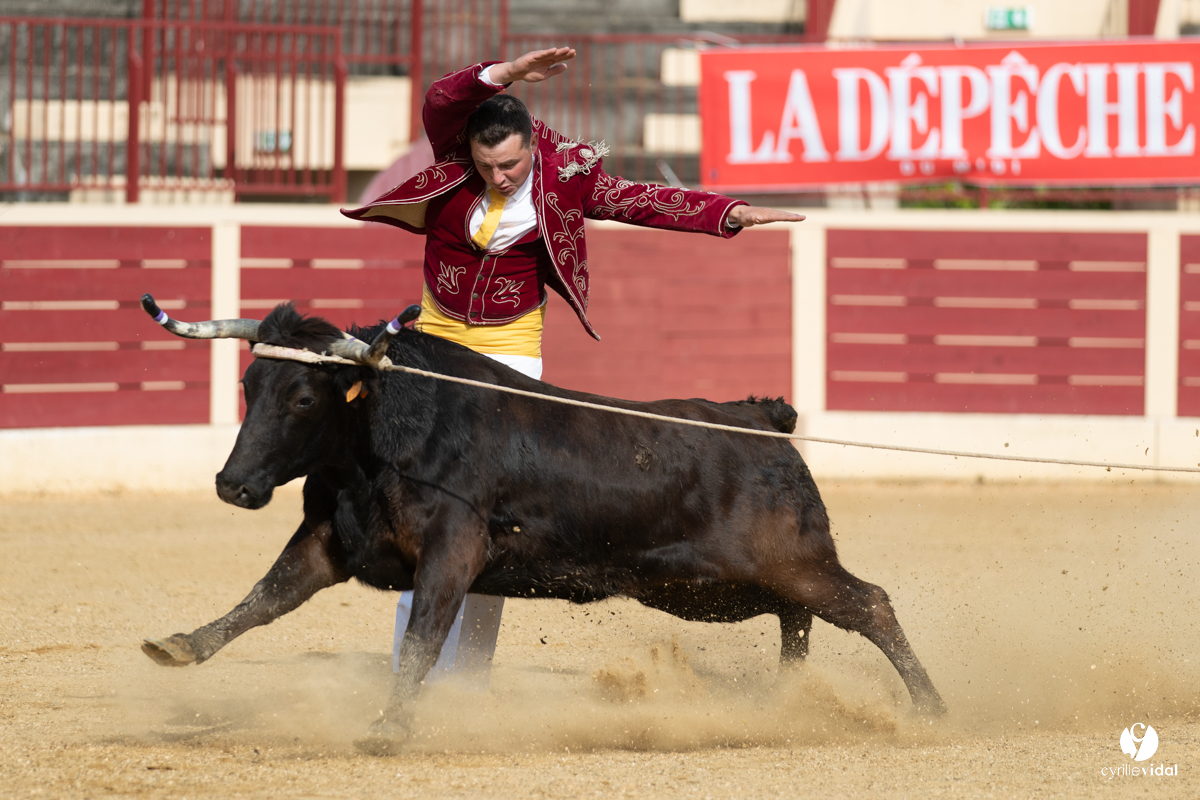 Course landaise Le Houga Ganadéria Dussau Cuadrilla Alexandre Brethes