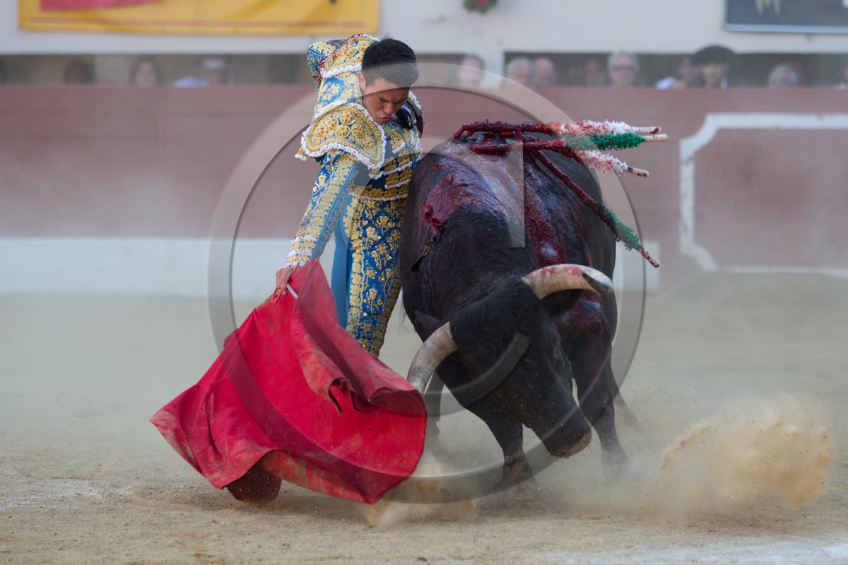 corrida, toro, vic fezensac, alcurrucen, michelito, morenito de aranda