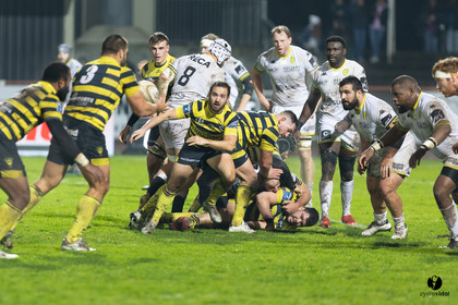Stade Montois Rugby - Carcassonne