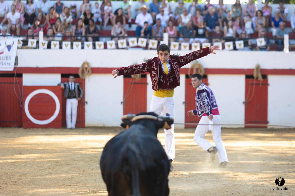 Course landaise à Panjas
