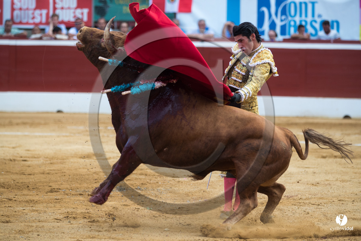 Mont-de-Marsan corrida de Jandilla pour Padilla - Talavante - Roca Rey