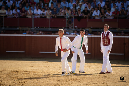 Mont-de-Marsan championnat de France de course landaise 2019