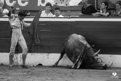 Mont-de-Marsan corrida de Dolores Aguirre pour Octavio Chacon - Pepe Moral - Juan Léal