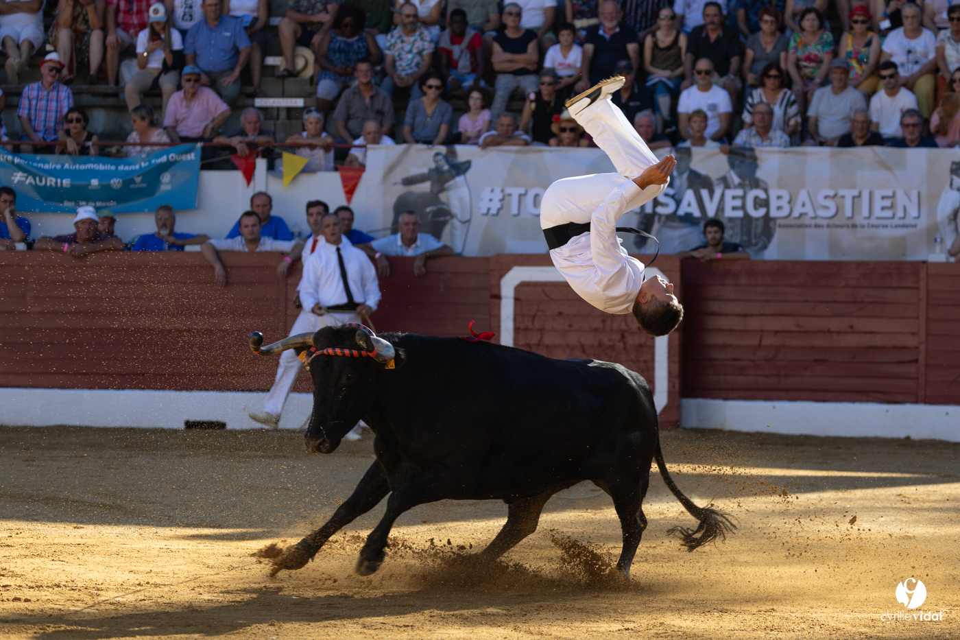 Aire-sur-l'Adour Championnat de France de course landaise 2023