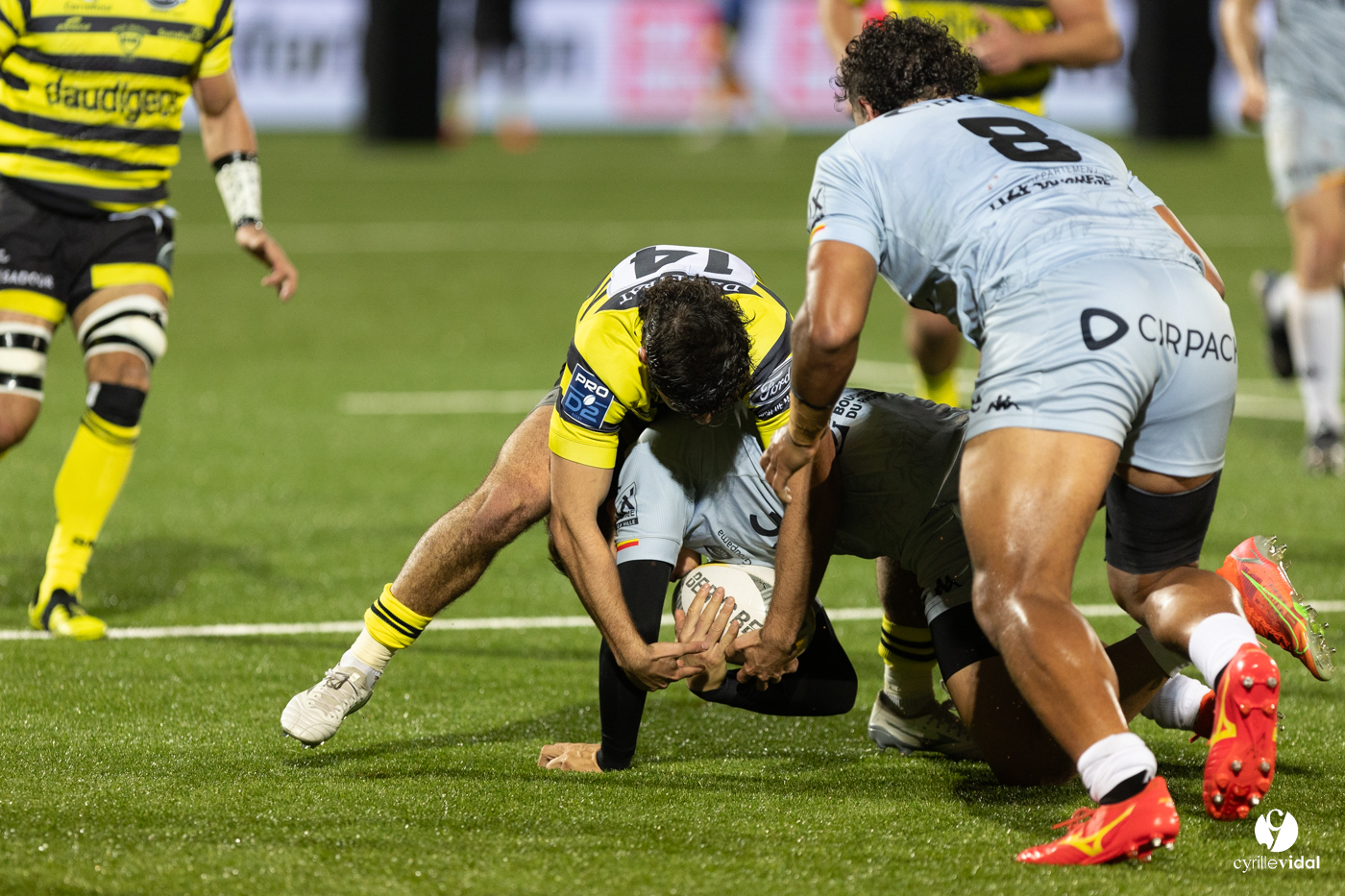 Stade Montois Rugby - Provence