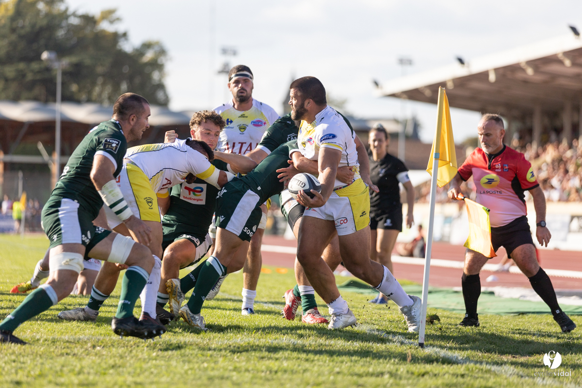 Stade Montois Rugby - Section Paloise