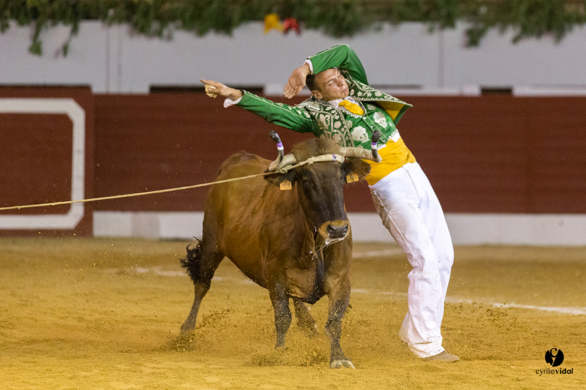 Aire sur l'Adour course landaise génération Aturine