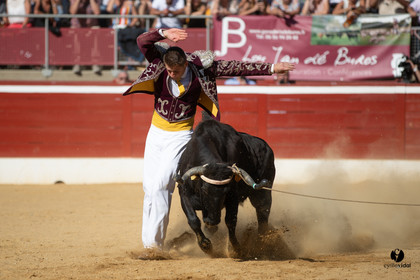 Mont-de-Marsan championnat de France de course landaise 2019