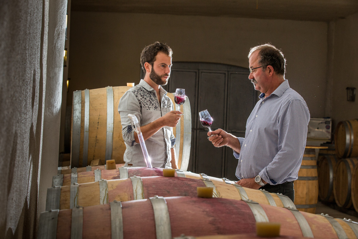 Vignoble Guy et Simon CAPMARTIN