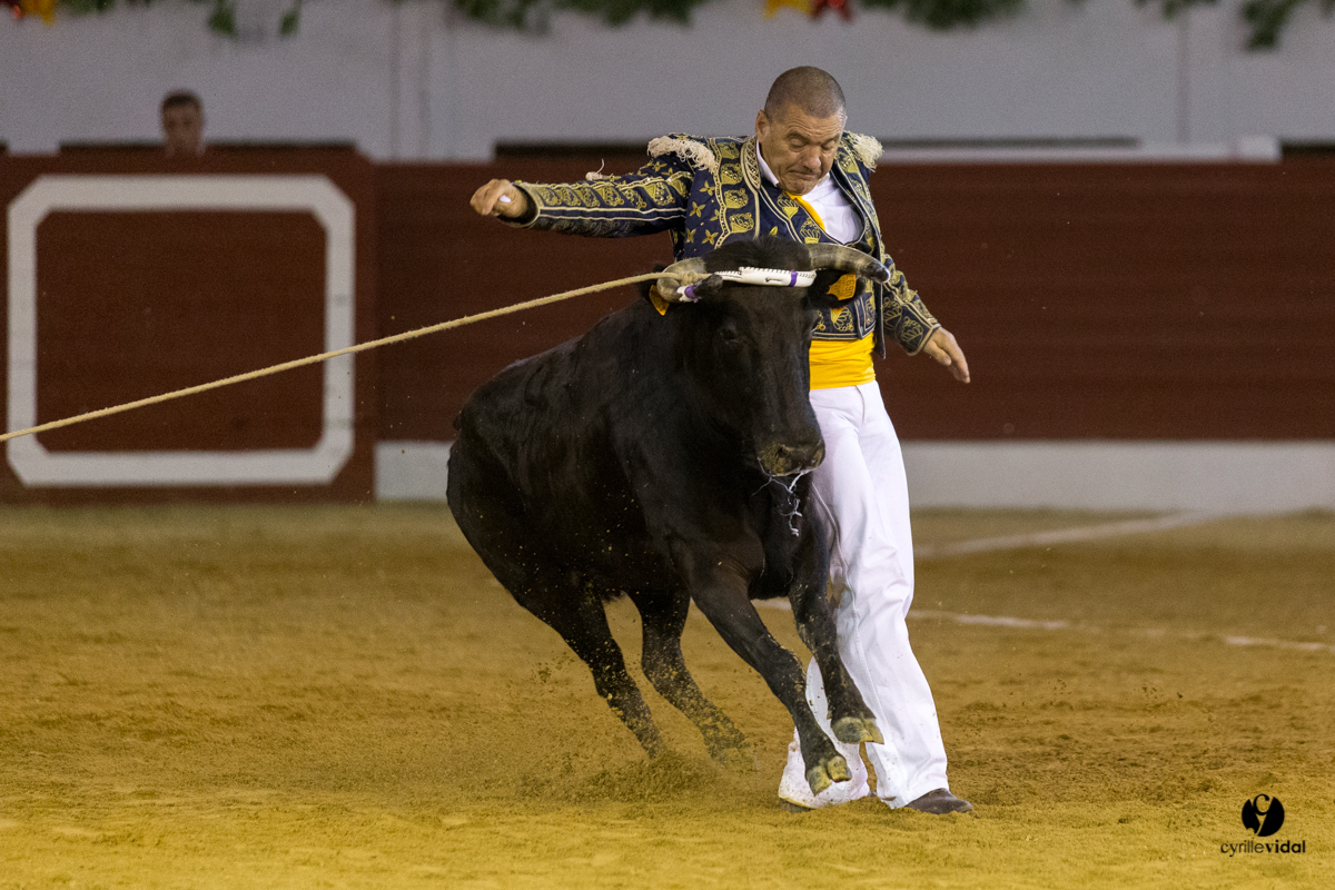 Aire sur l'Adour course landaise génération Aturine