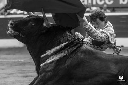 Mont-de-Marsan corrida de Jandilla pour Padilla - Talavante - Roca Rey