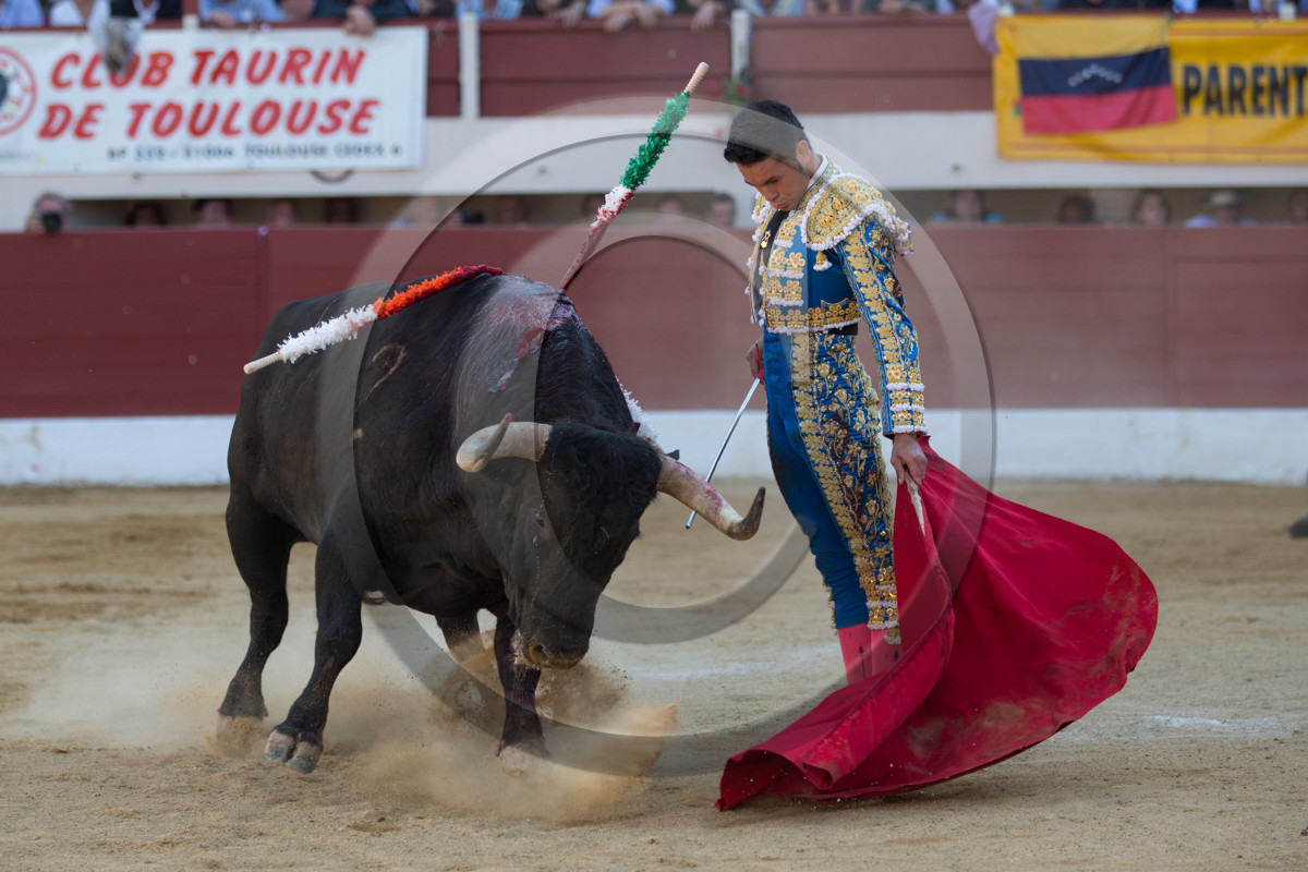corrida, toro, vic fezensac, alcurrucen, michelito, morenito de aranda