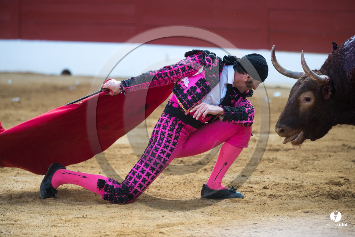Mont-de-Marsan corrida de Jandilla pour Padilla - Talavante - Roca Rey