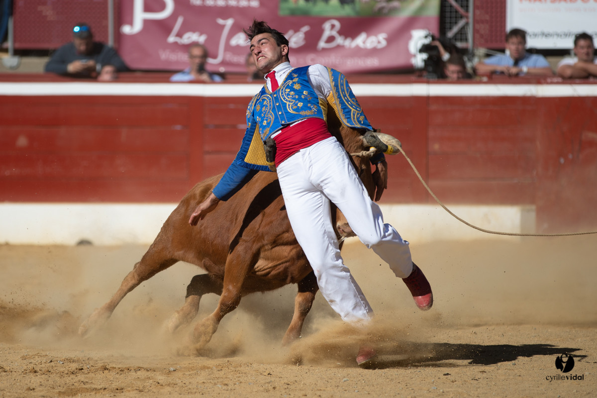 Mont-de-Marsan championnat de France de course landaise 2019
