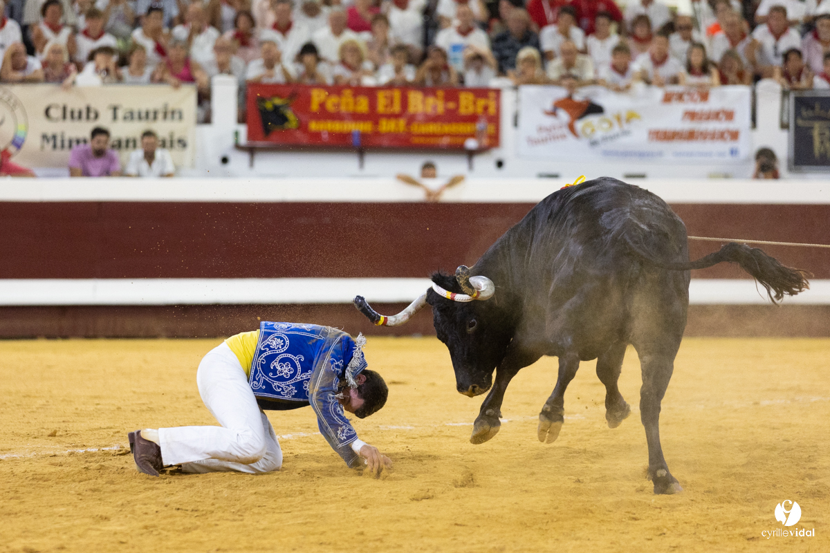 Dax concours landais 2022