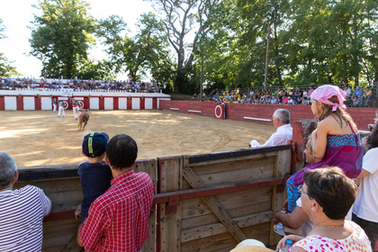 Course landaise à Panjas