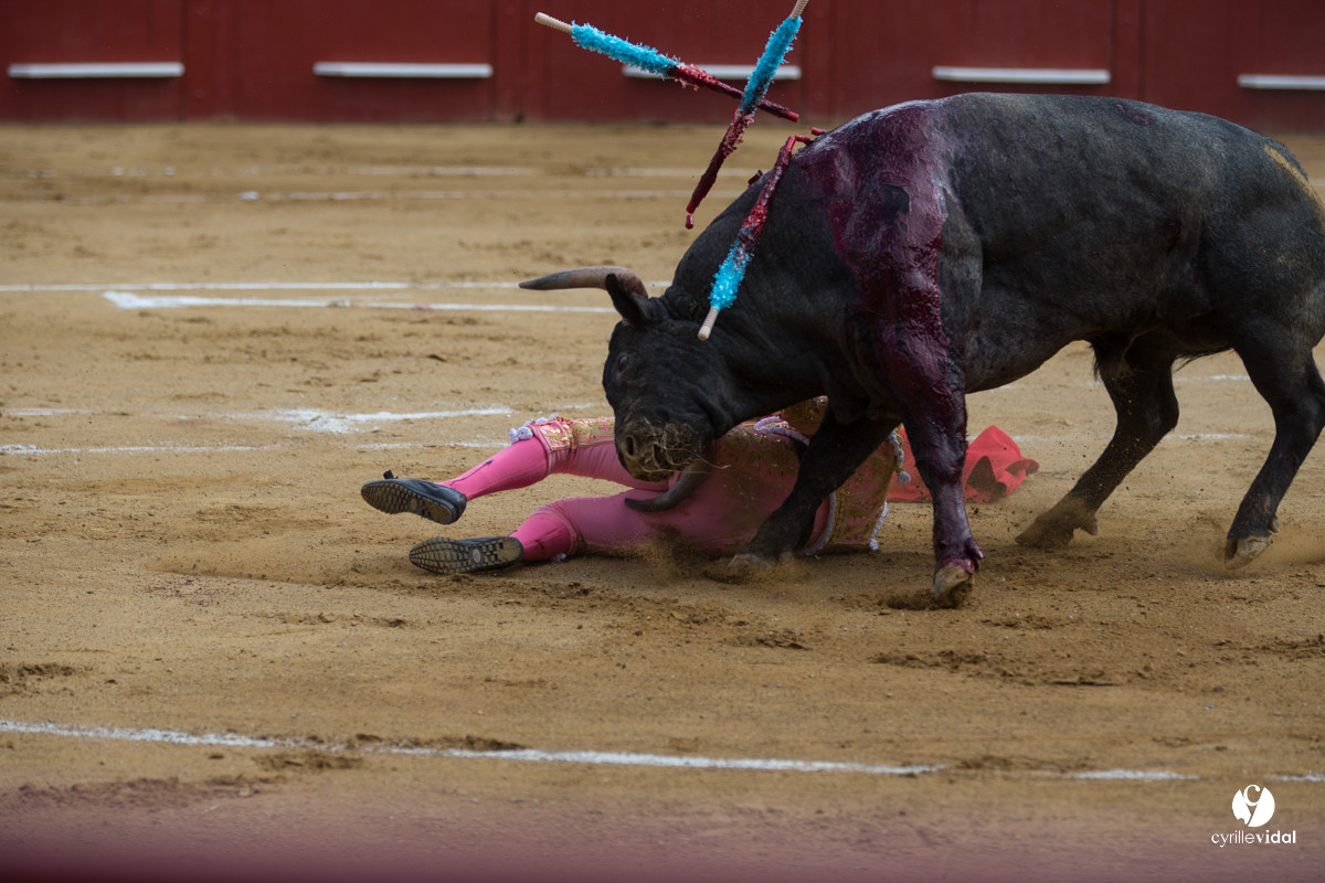 Mont-de-Marsan corrida d'Adolfo Martin