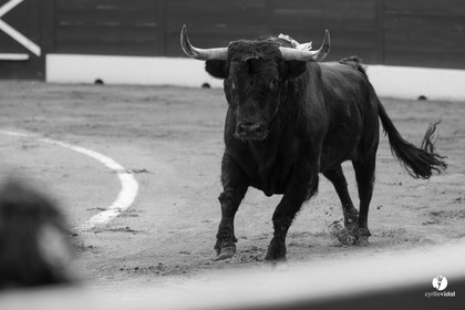Mont-de-Marsan corrida de Dolores Aguirre pour Octavio Chacon - Pepe Moral - Juan Léal