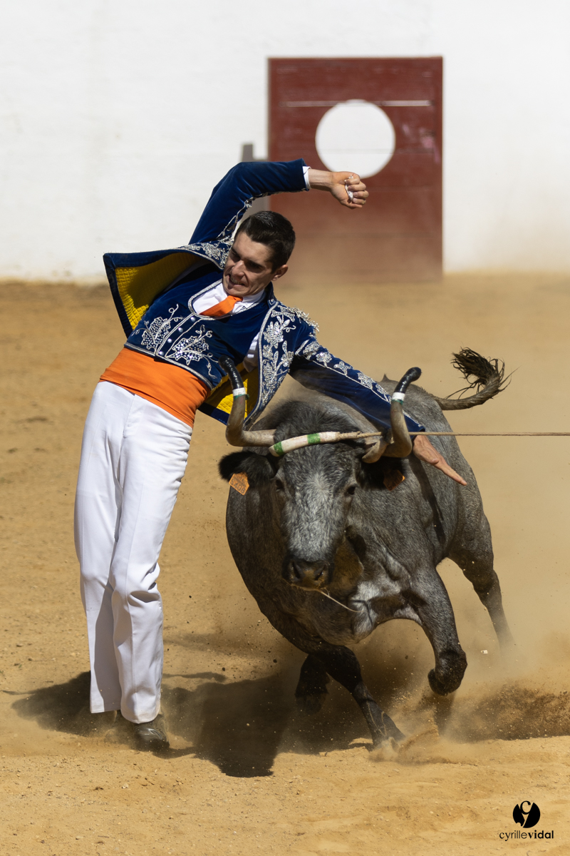 Saint-Cricq Chalosse course landaise de promotion Ganadéria Deyris Cuadrilla Jérémy Lafitte