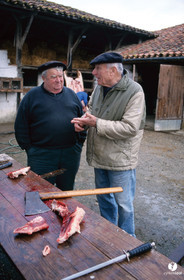 Jours de pelère