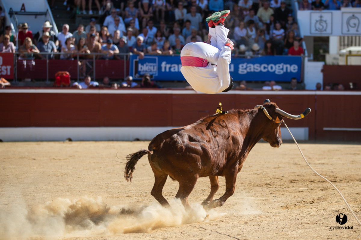 Mont-de-Marsan championnat de France de course landaise 2019