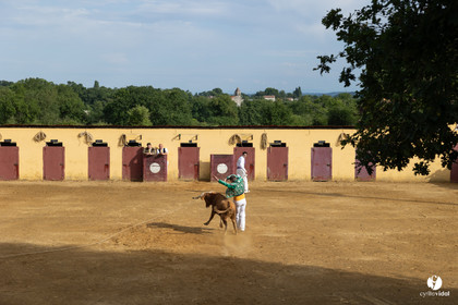2024-05-25-2694.jpg