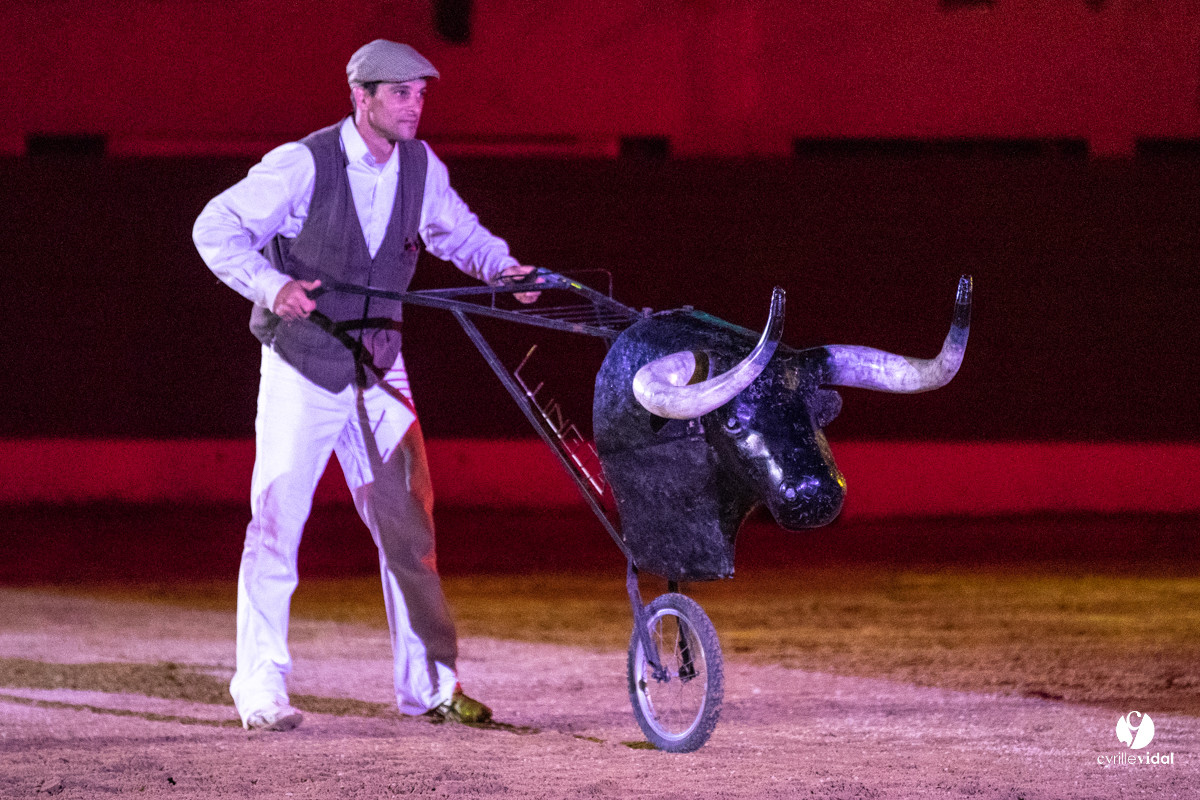Landes émotions à Aire-sur-l'Adour