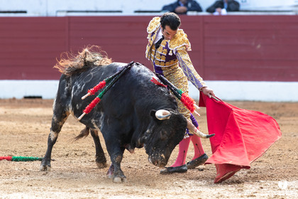 Corrida d'Aire sur l'Adour