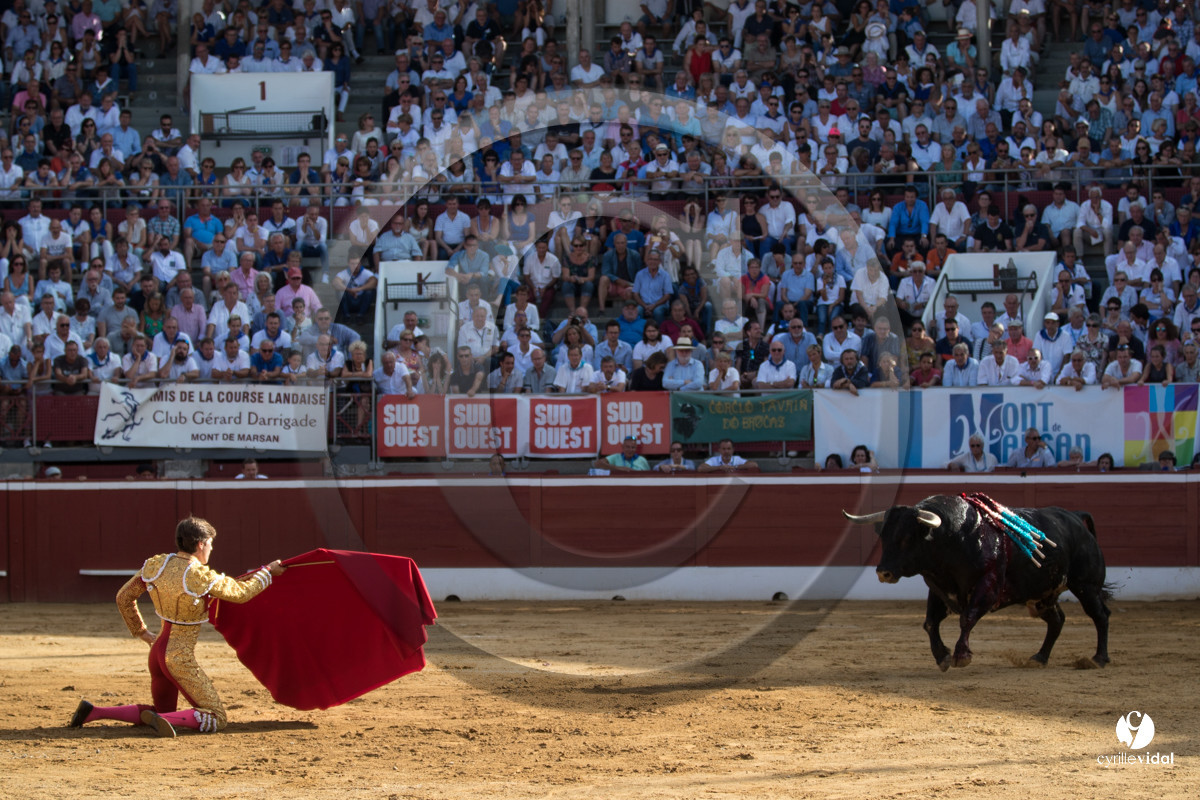 Mont-de-Marsan corrida de Dolores Aguirre pour Octavio Chacon - Pepe Moral - Juan Léal